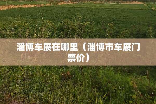 淄博车展在哪里（淄博市车展门票价）