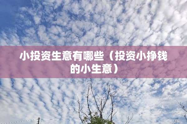 小投资生意有哪些（投资小挣钱的小生意）