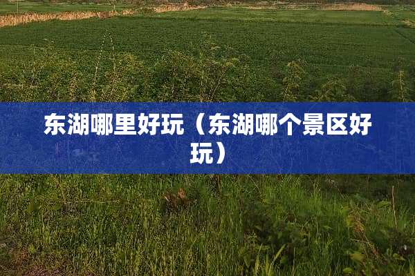 东湖哪里好玩（东湖哪个景区好玩）