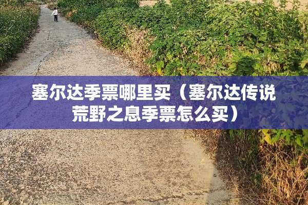塞尔达季票哪里买（塞尔达传说荒野之息季票怎么买）
