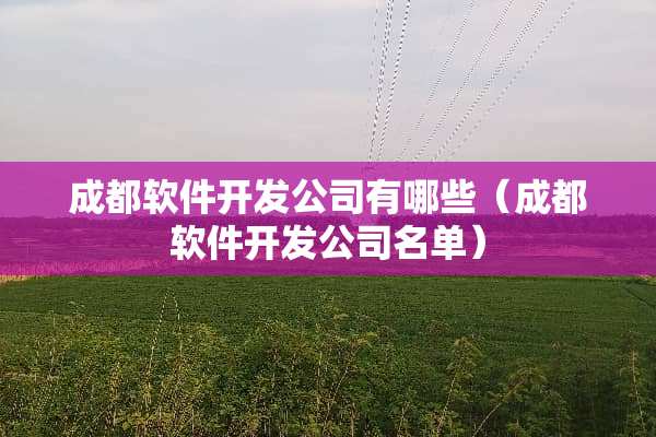 成都软件开发公司有哪些（成都软件开发公司名单）