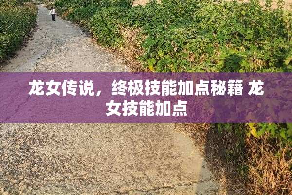 龙女传说，终极技能加点秘籍 龙女技能加点