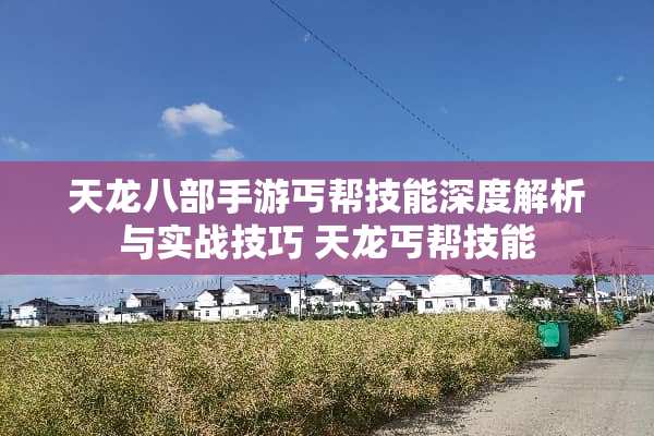 天龙八部手游丐帮技能深度解析与实战技巧 天龙丐帮技能