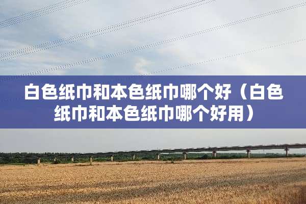 白色纸巾和**纸巾哪个好（白色纸巾和**纸巾哪个好用）