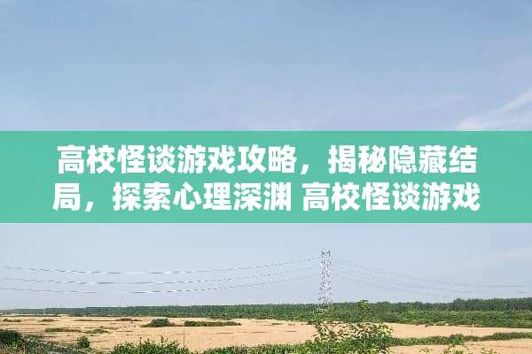 高校怪谈游戏攻略，揭秘隐藏结局，探索心理深渊 高校怪谈游戏攻略结局