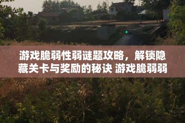 游戏脆弱性弱谜题攻略，解锁隐藏关卡与奖励的秘诀 游戏脆弱弱谜题攻略