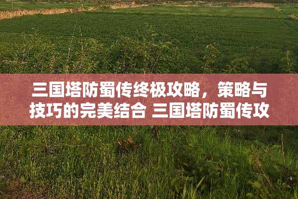 三国塔防蜀传终极攻略，策略与技巧的完美结合 三国塔防蜀传攻略