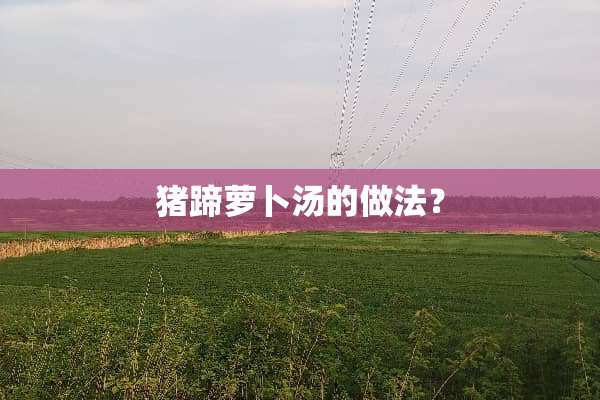 猪蹄萝卜汤的做法？