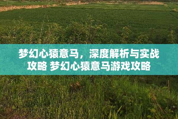梦幻心猿意马,深度解析与实战攻略 梦幻心猿意马游戏攻略 梦幻心猿意马,深度解析与实战攻略 梦幻心猿意马游戏攻略