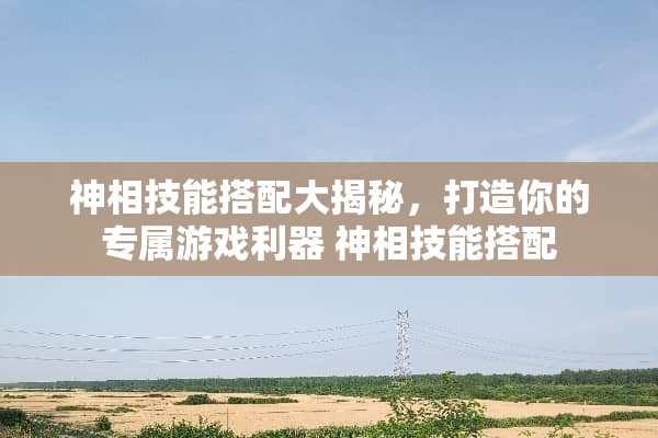 神相技能搭配大揭秘，打造你的专属游戏利器 神相技能搭配