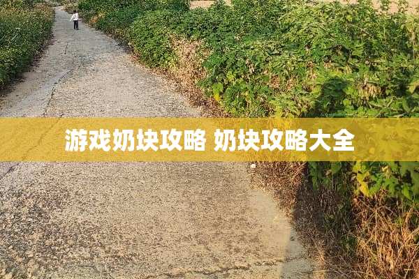 游戏奶块攻略 奶块攻略大全