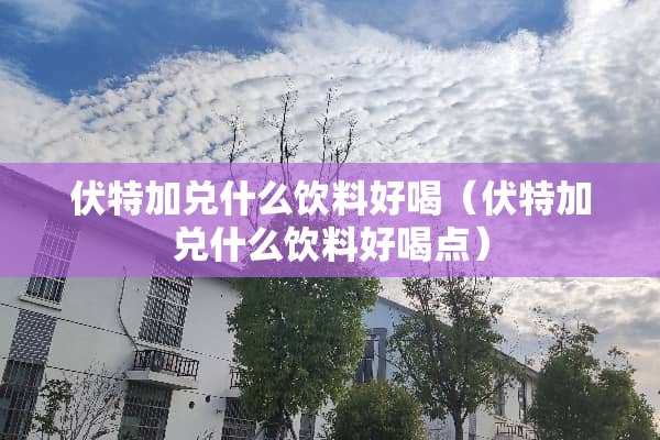 伏特加兑什么饮料好喝（伏特加兑什么饮料好喝点）