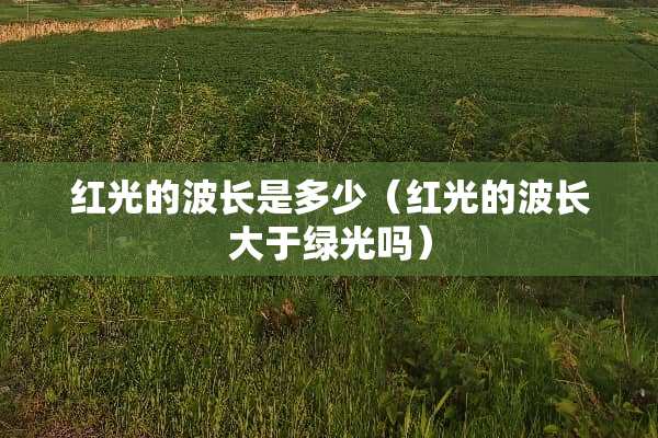 红光的波长是多少（红光的波长大于绿光吗）