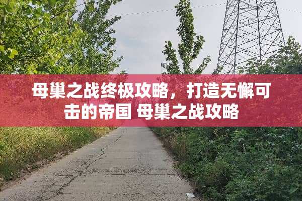 母巢之战终极攻略，打造无懈可击的帝国 母巢之战攻略
