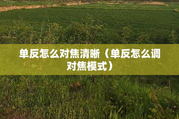 单反怎么对焦清晰（单反怎么调对焦模式）