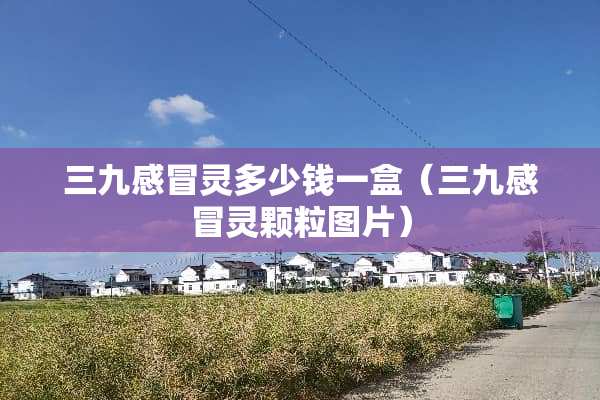 三九感冒灵多少钱一盒（三九感冒灵颗粒图片）