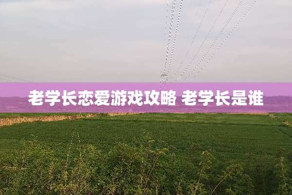 老学长恋爱游戏攻略 老学长是谁