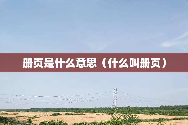 册页是什么意思（什么叫册页）