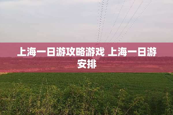 上海一日游攻略游戏 上海一日游安排
