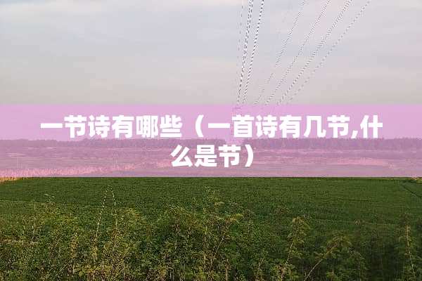 一节诗有哪些（一首诗有几节,什么是节）