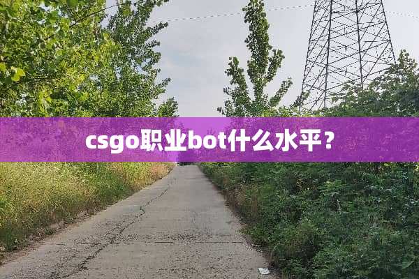 csgo职业bot什么水平？