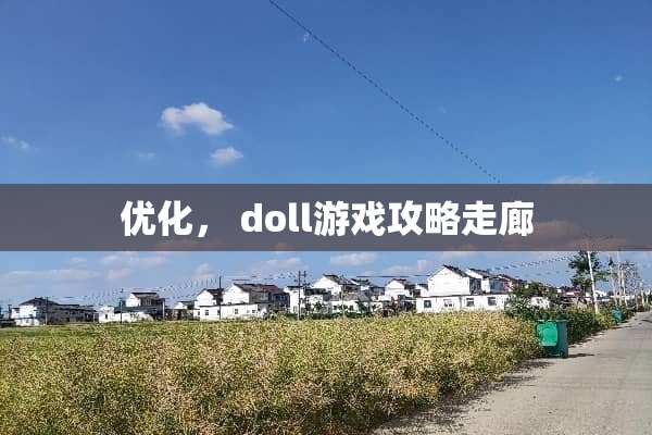 优化， doll游戏攻略走廊