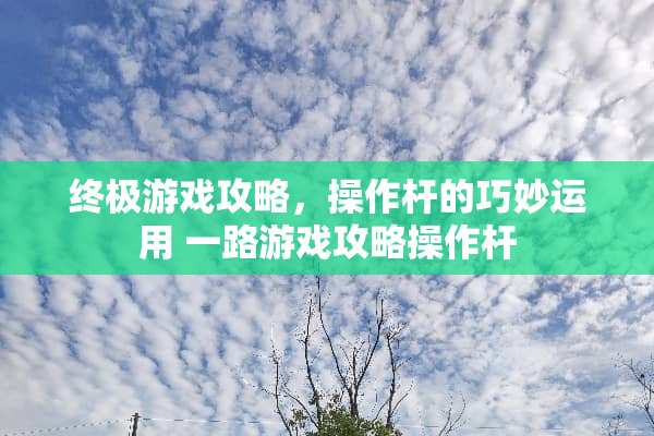 终极游戏攻略,操作杆的巧妙运用 一路游戏攻略操作杆 终极游戏攻略,操作杆的巧妙运用 一路游戏攻略操作杆
