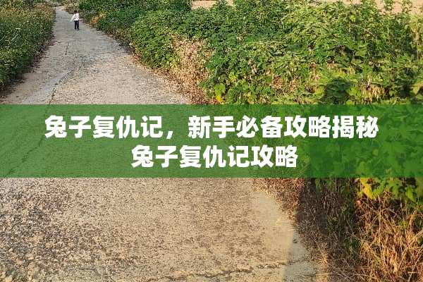 兔子复仇记，新手必备攻略揭秘 兔子复仇记攻略