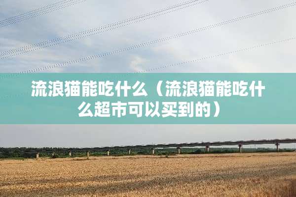 流浪猫能吃什么（流浪猫能吃什么超市可以买到的）