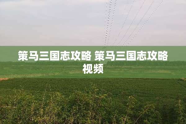 策马三国志攻略 策马三国志攻略视频