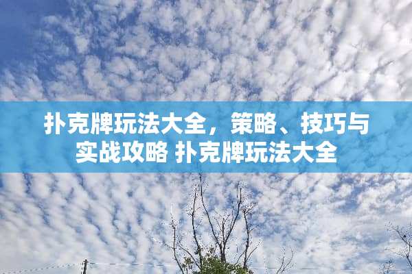 **牌玩法大全，策略、技巧与实战攻略**牌玩法大全