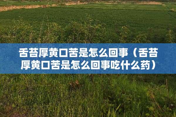 舌苔厚黄口苦是怎么回事（舌苔厚黄口苦是怎么回事吃什么药）
