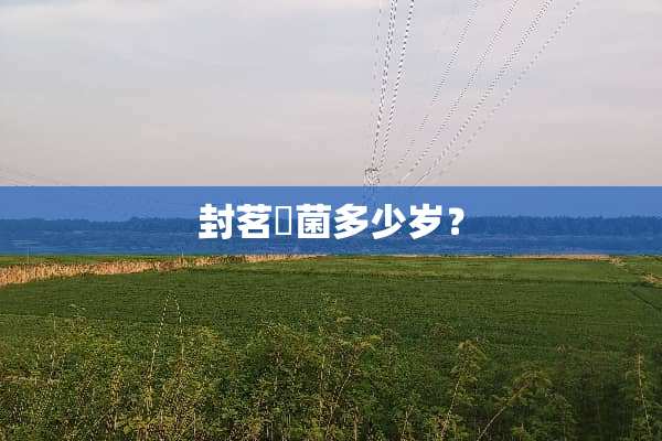 封茗囧菌多少岁？