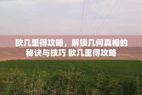 欧几里得攻略，解锁几何**的秘诀与技巧 欧几里得攻略