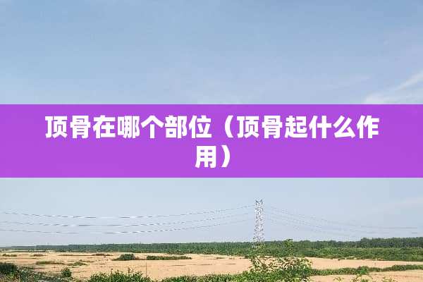 顶骨在哪个部位（顶骨起什么作用）