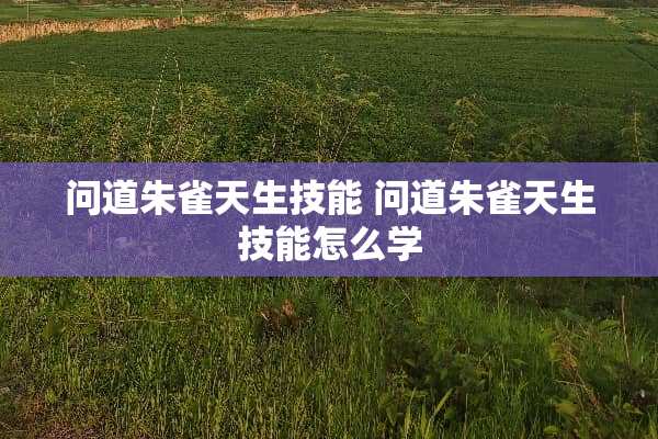 问道朱雀天生技能 问道朱雀天生技能怎么学