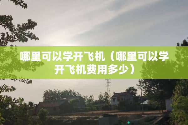 哪里可以学开飞机（哪里可以学开飞机费用多少）