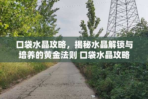 口袋水晶攻略，揭秘水晶解锁与培养的黄金法则 口袋水晶攻略