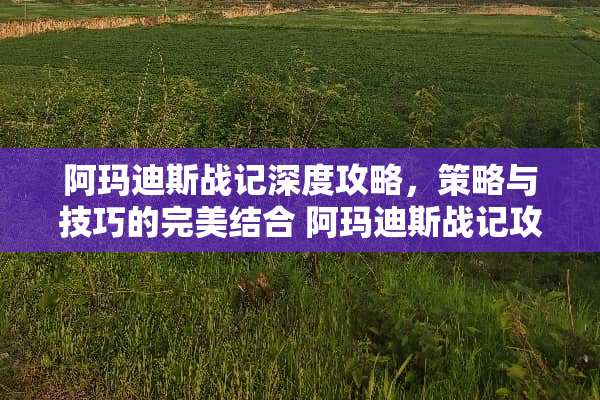 阿玛迪斯战记深度攻略,策略与技巧的完美结合 阿玛迪斯战记攻略 阿玛迪斯战记深度攻略,策略与技巧的完美结合 阿玛迪斯战记攻略