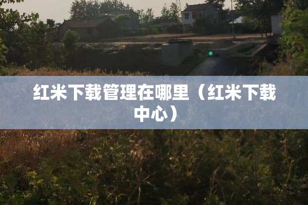 红米下载管理在哪里（红米下载中心）