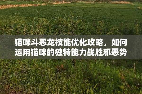 猫咪斗恶龙技能优化攻略,如何运用猫咪的独特能力战胜**势力? 猫咪斗恶龙技能 猫咪斗恶龙技能优化攻略,如何运用猫咪的独特能力战胜**势力? 猫咪斗恶龙技能