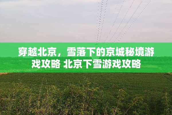 穿越北京，雪落下的京城秘境游戏攻略 北京下雪游戏攻略