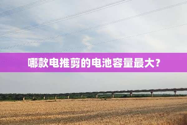 哪款电推剪的电池容量最大？
