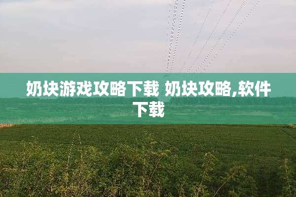 奶块游戏攻略下载 奶块攻略,软件下载