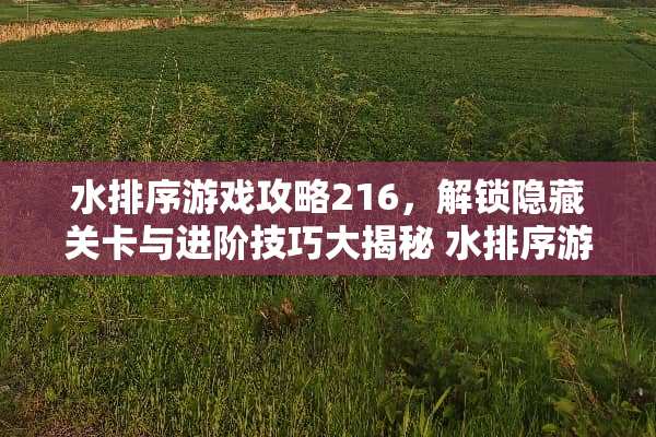 水排序游戏攻略216，解锁隐藏关卡与进阶技巧大揭秘 水排序游戏攻略216