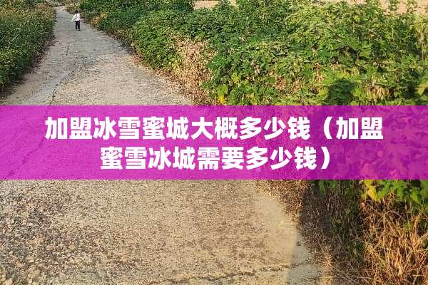加盟冰雪蜜城大概多少钱（加盟蜜雪冰城需要多少钱）
