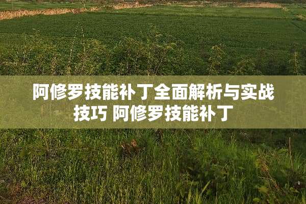 阿修罗技能补丁全面解析与实战技巧 阿修罗技能补丁