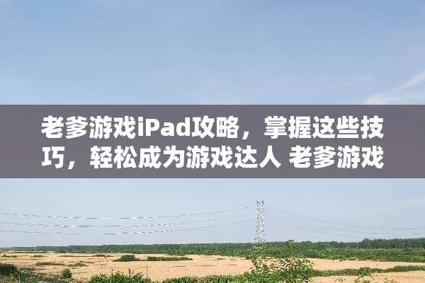 老爹游戏iPad攻略，掌握这些技巧，轻松成为游戏达人 老爹游戏iPad攻略
