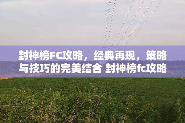 封神榜FC攻略，经典再现，策略与技巧的完美结合 封神榜fc攻略
