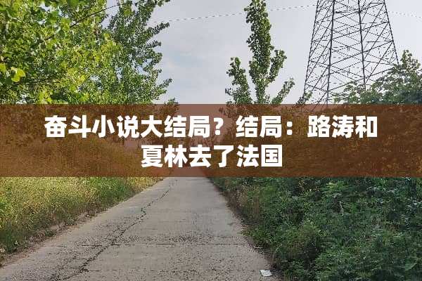 奋斗小说大结局？结局：路涛和夏林去了法国